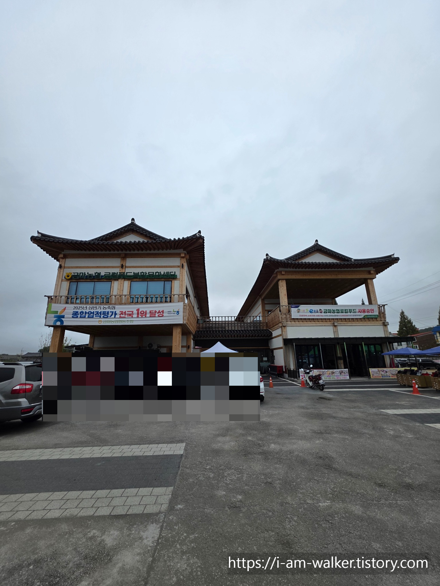 익산, 금마면, 탱자나무, 영조시대, 수호목, 전북여행, 농협, 오래된나무, 생명력, 역사기행