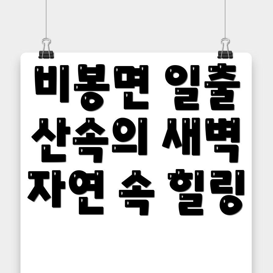 비봉면 일출 산행