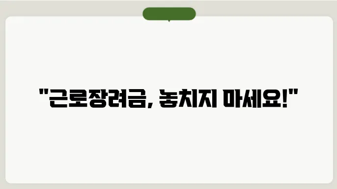 근로장려금 정기신송전 운