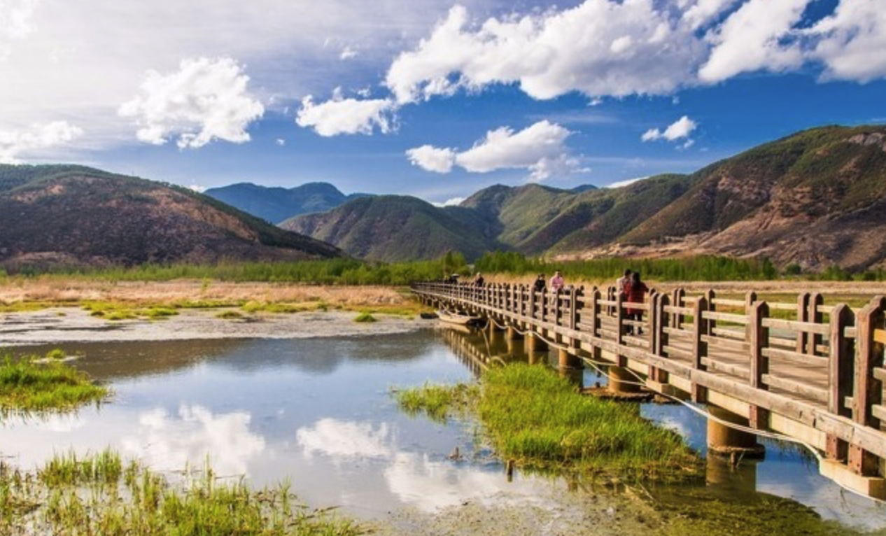 마장호수 출렁다리