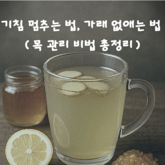 기침 가래 멈추는 방법 