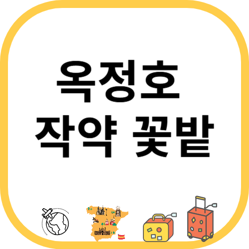 옥정호 작약 꽃밭