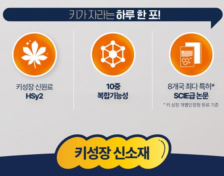 HSy2 가격 성분
