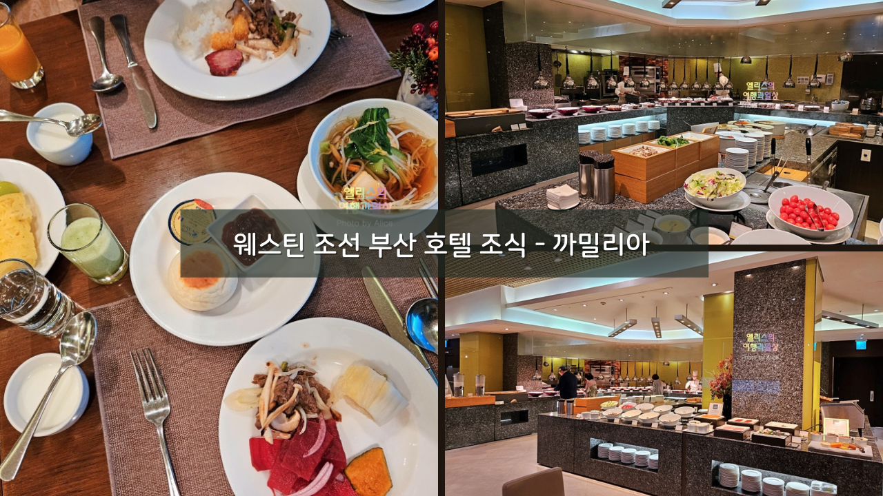 웨스틴 조선 부산 호텔 조식 까밀리아 솔직후기 메뉴, 가격