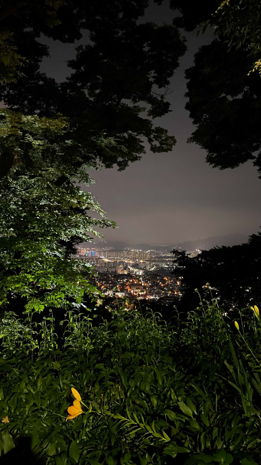 남선서울타워 밤소풍