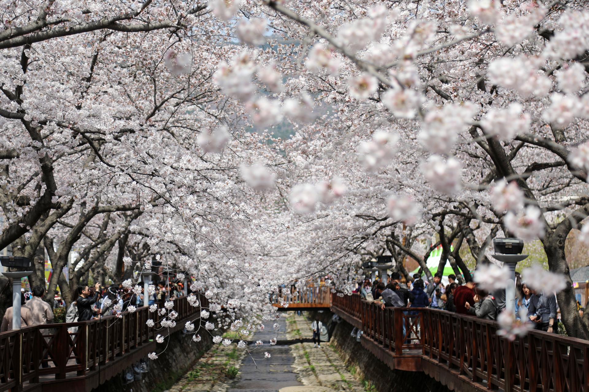 여좌천로망스다리