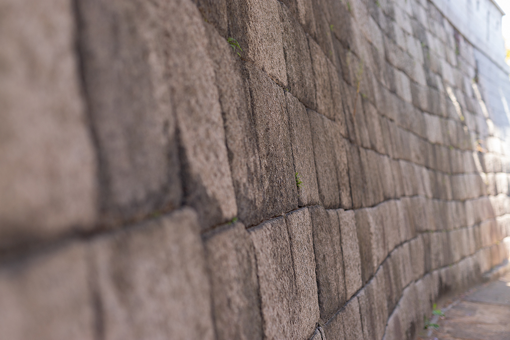 혜화문
성북동
한양도성길
백악구간
서울여행
서울단풍
가을단풍
단풍