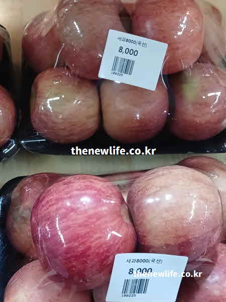 간 좋은 음식 과일 사과