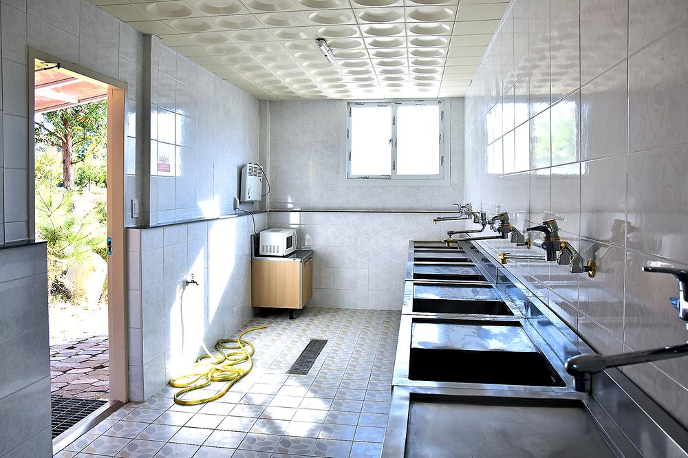 경기도 포천 도마치캠핑장