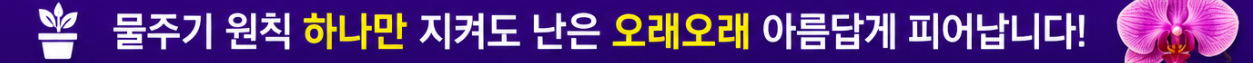 꾸준한 관찰