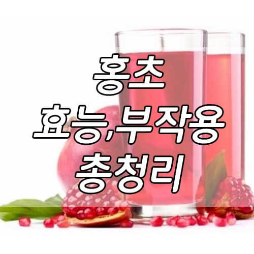 홍초 효능 8가지와 부작용 총정리