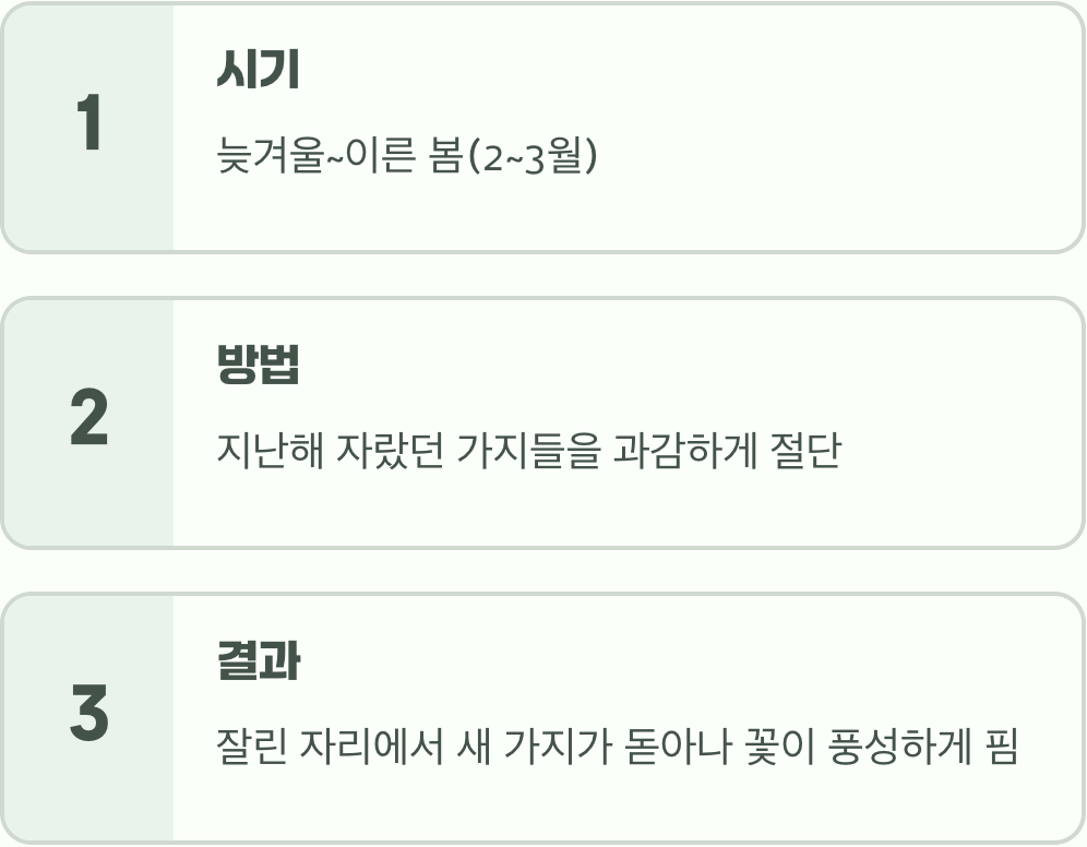 풍성한 꽃을 위한 용감한 가위질