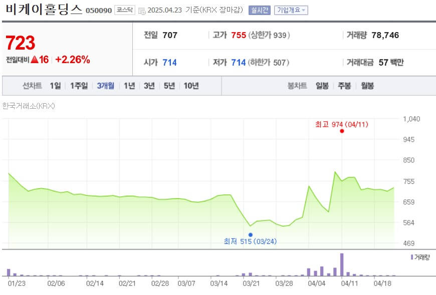 비케이홀딩스 주가