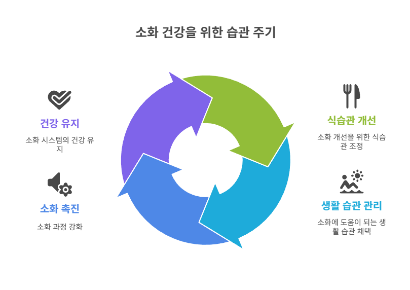 소화가 잘되는 식습관과 생활 습관