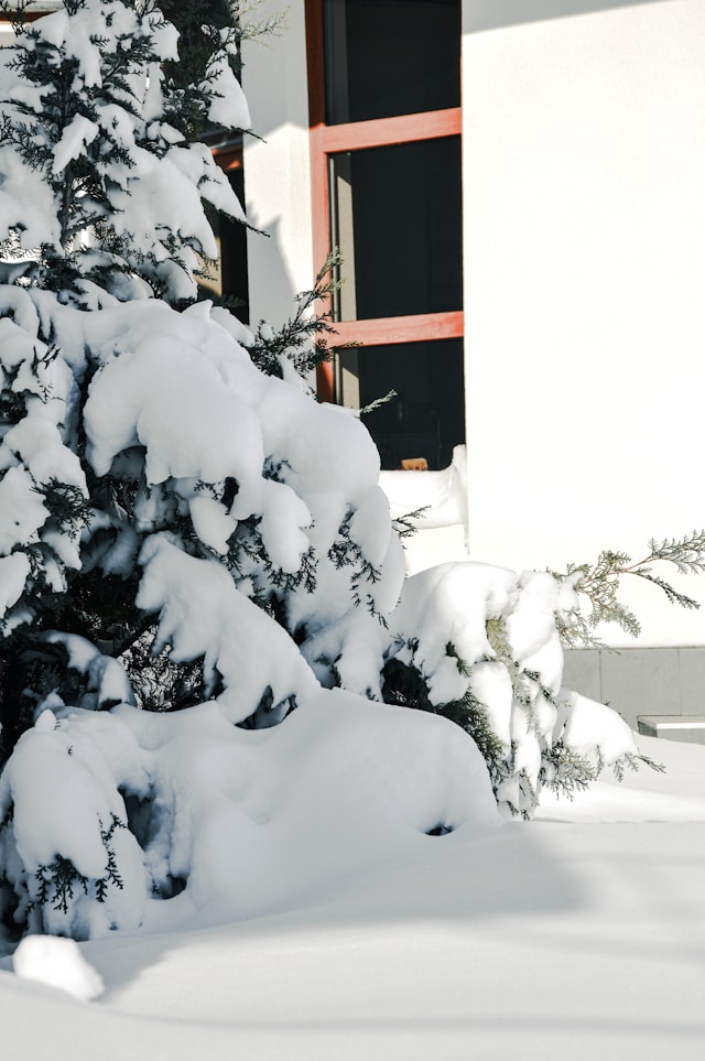 겨울철 스노우체인 5분 완벽 장착법
