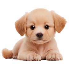 고속버스&middot;시외버스 예매 꿀팁 총정리! 할인부터 시간표까지 완벽 가이드