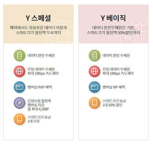 Y-베이직-스페셜