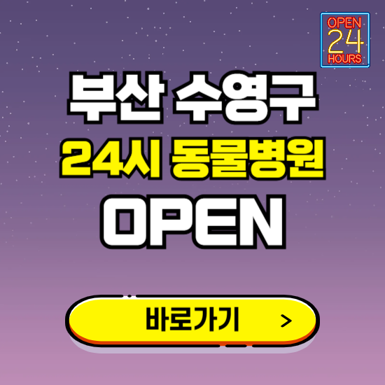 부산 수영구 24시 동물병원 진료하는 곳 ❘ 설날 휴일 야간 심야 문여는곳 찾기 ❘ 응급진료