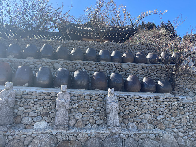 24년 광양 매화 축제 일정 요금 주차