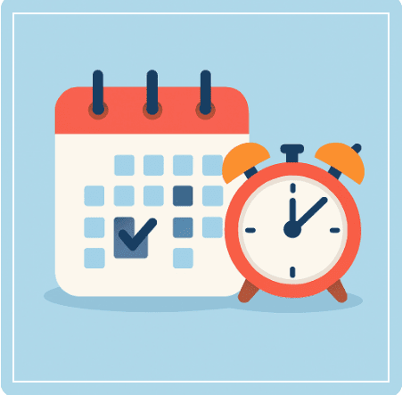 관람 운영 일정