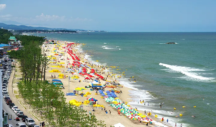 강원도 경포대 해수욕장과 강릉 가볼만한곳 best5 여행 자료집_8