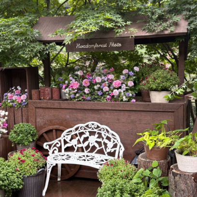 화담숲 예약 3분만에 성공하는 꿀팁