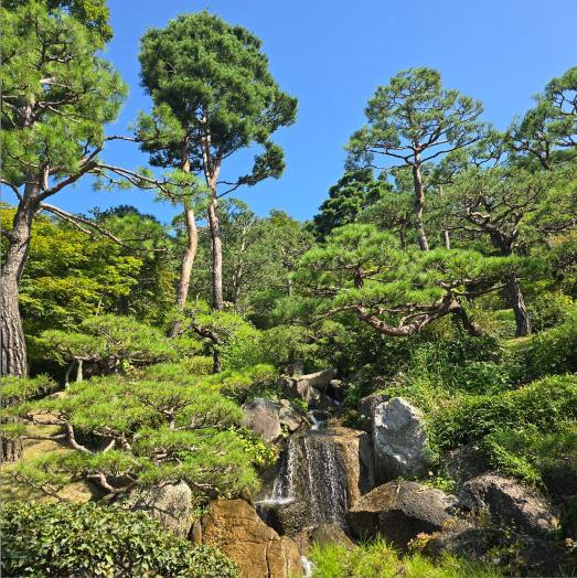 화담숲 모노레일 구간 이용 방법과 요금2