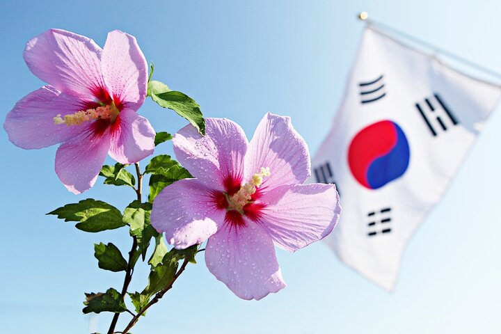 6월 6일 현충일 대체공휴일&amp;#44; 현충일 의미&amp;#44; 6월 6일 이유 