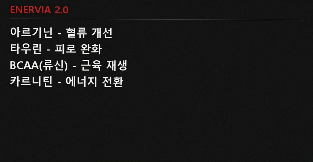 muscle recovery nutrients info card Korean text