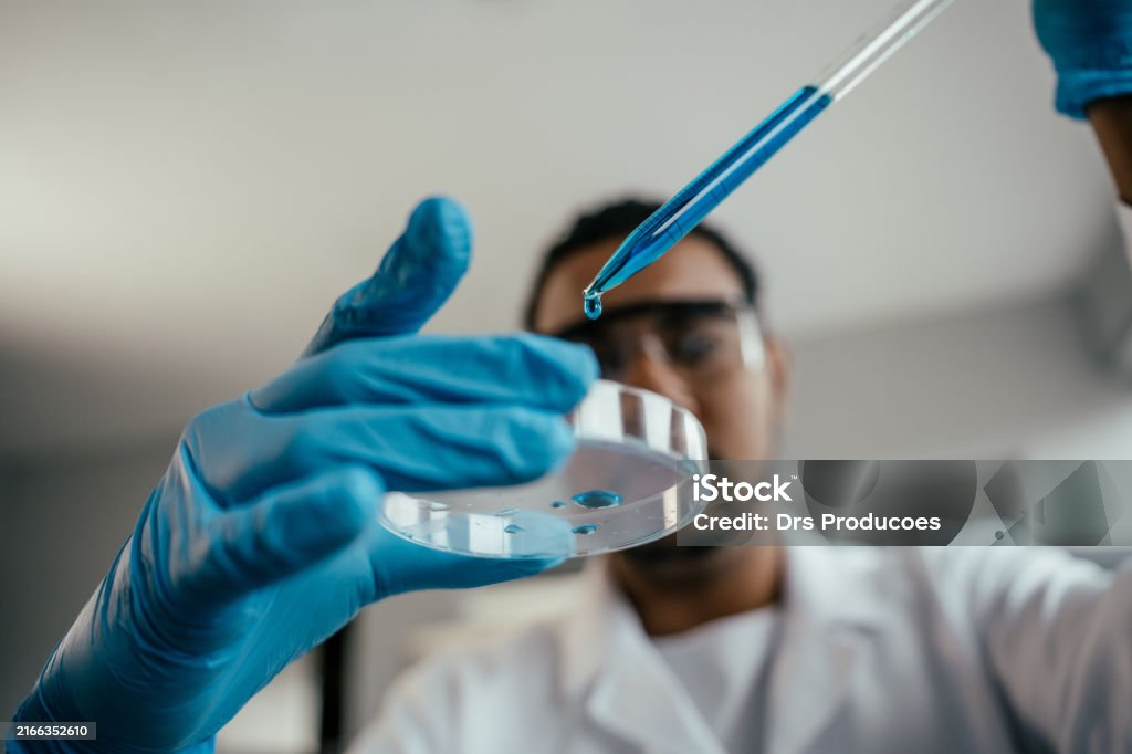 기업 분석 기반 투자 보고서 2편