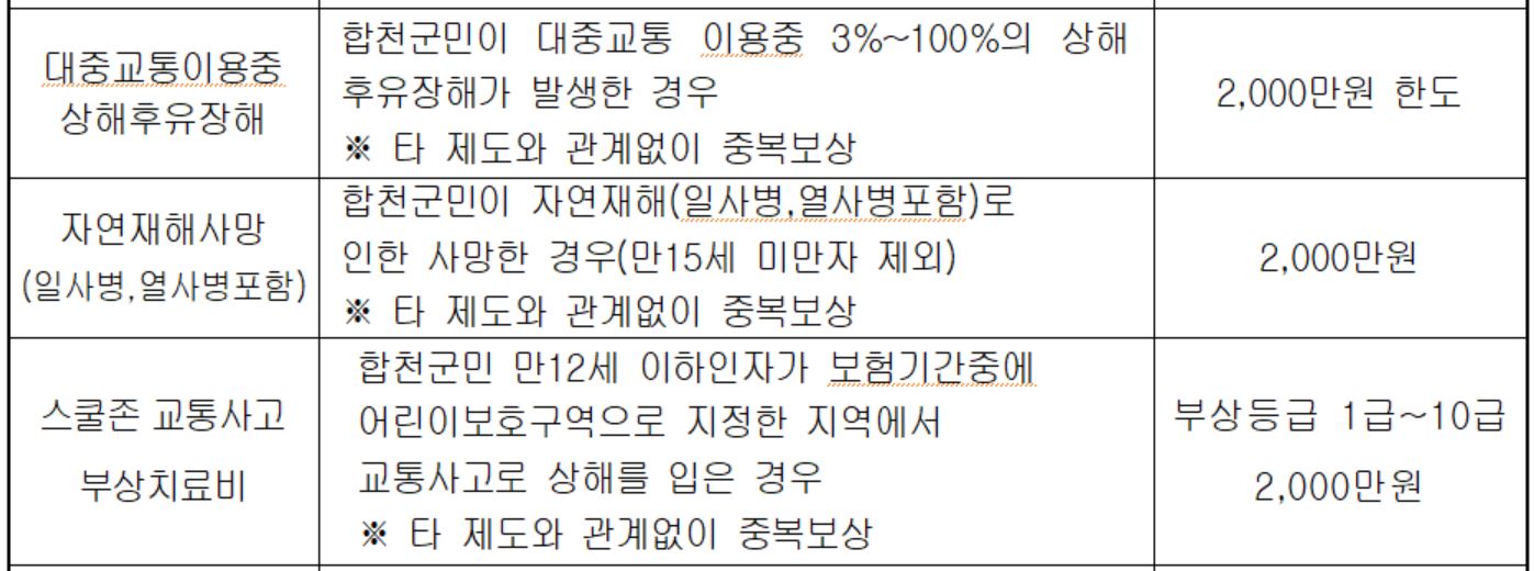 합천군 군민안전보험