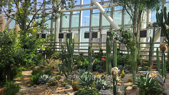 24년 순천만 국가정원 식물원 동문 순천여행