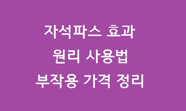 자석파스효과