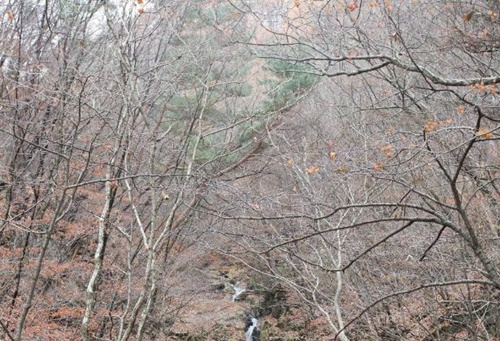 강원도 가볼만한곳 이미지 입니다.