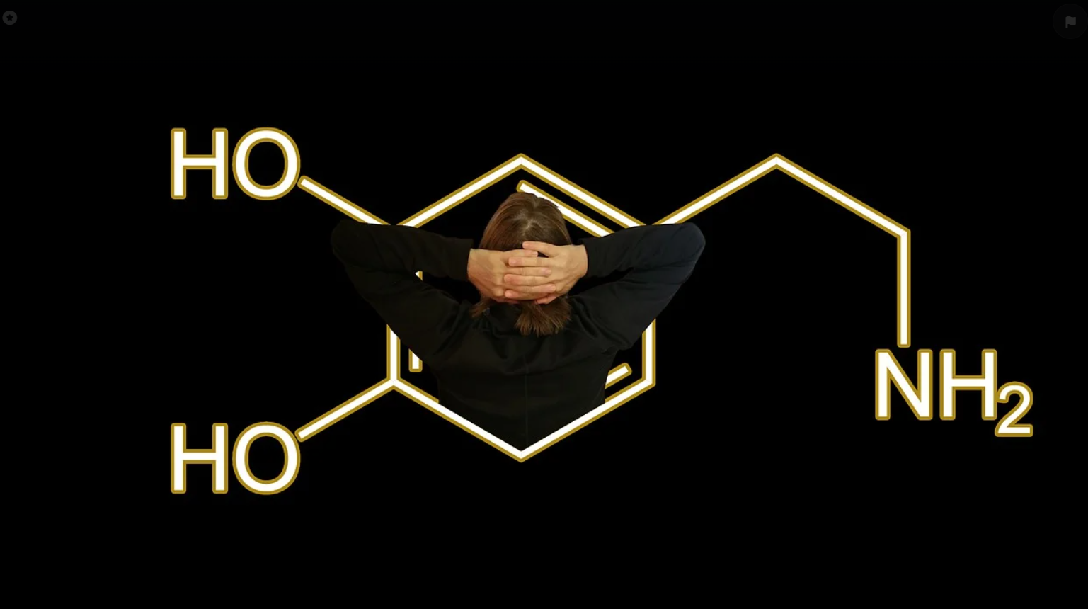 호르몬이란 무엇인가?