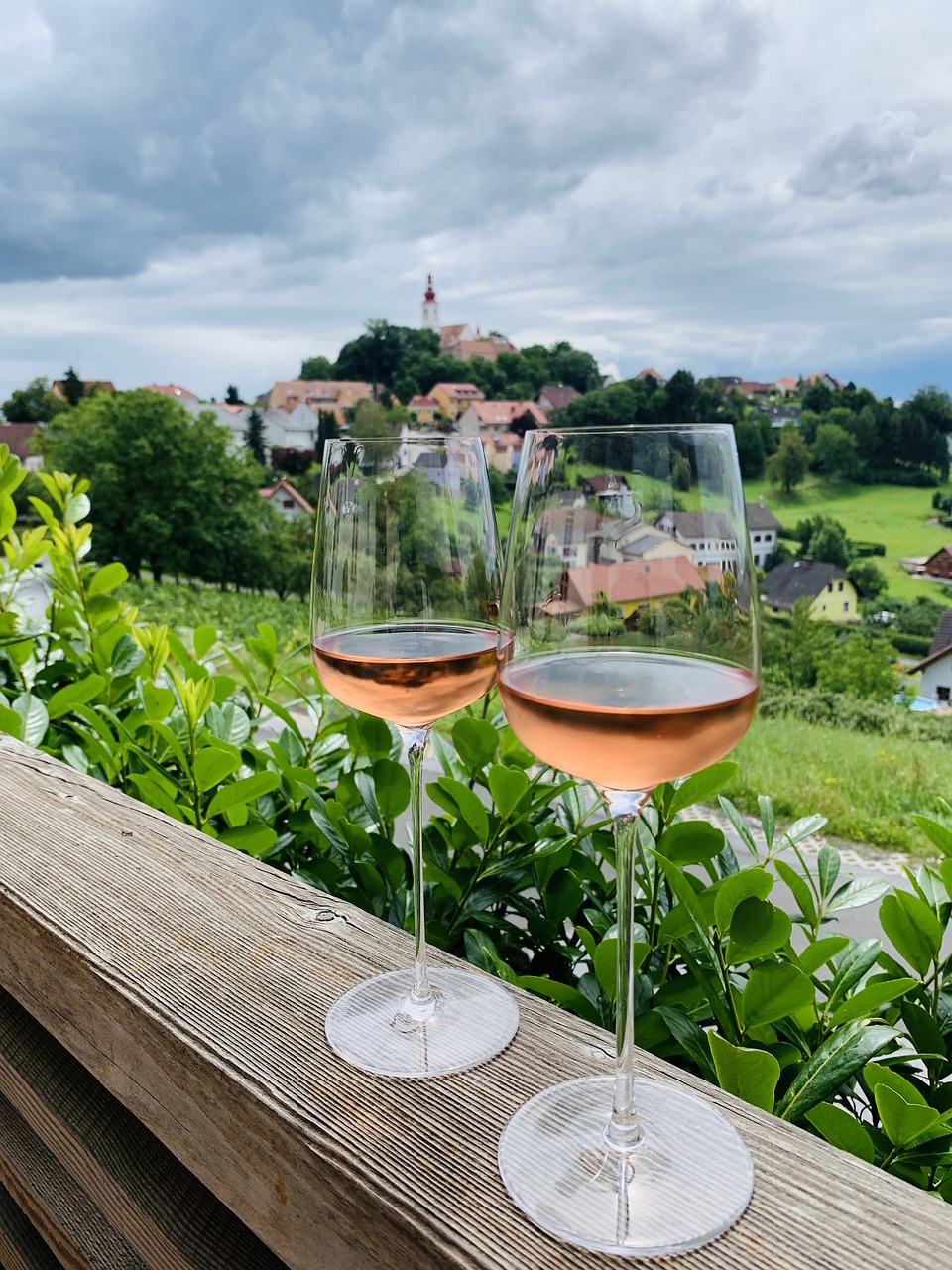 오스트리아 와인