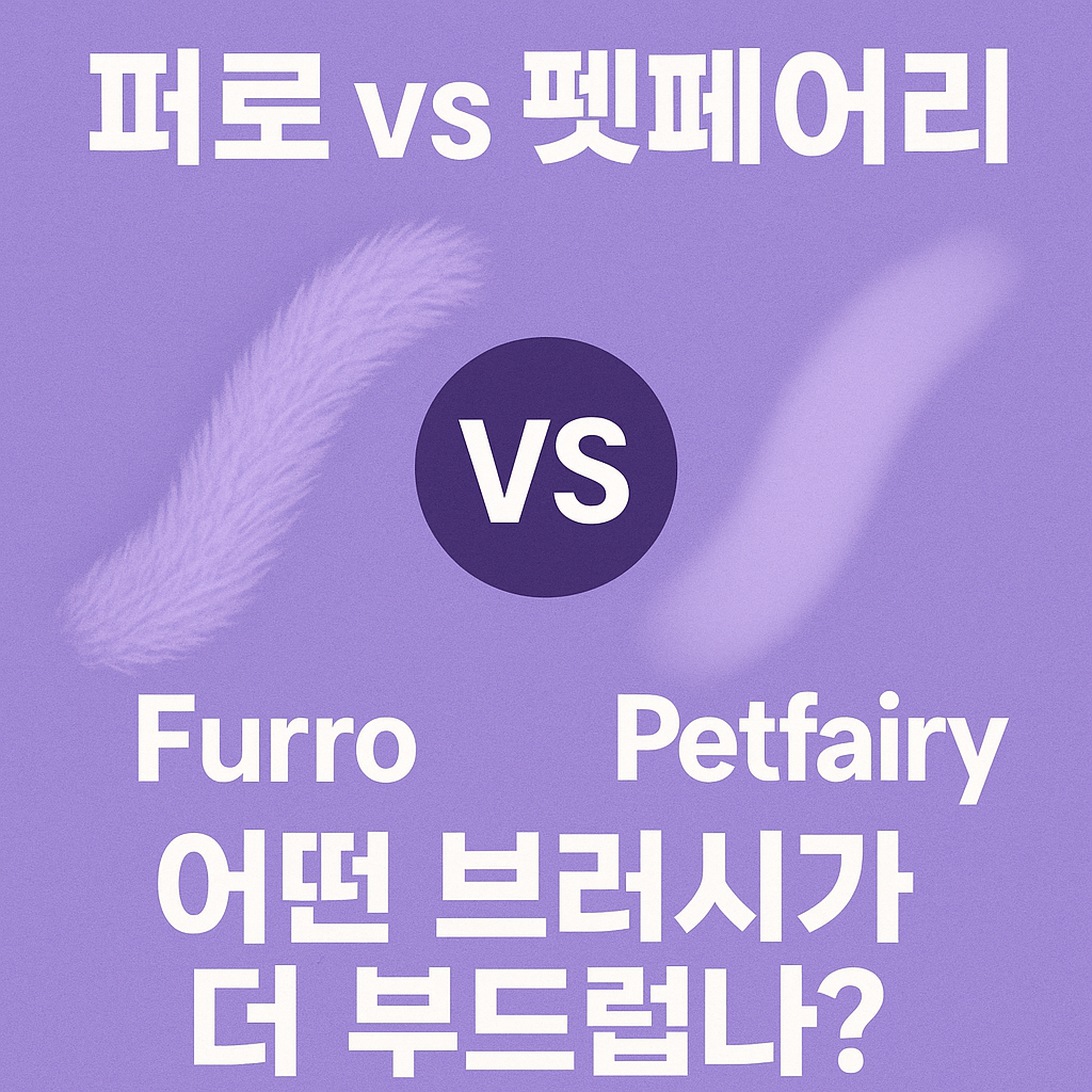 브러시