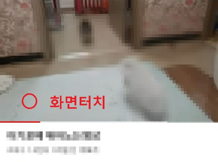 화면을 한번 터치함