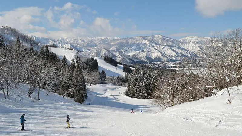 유자와 파크 스키장(니가타)