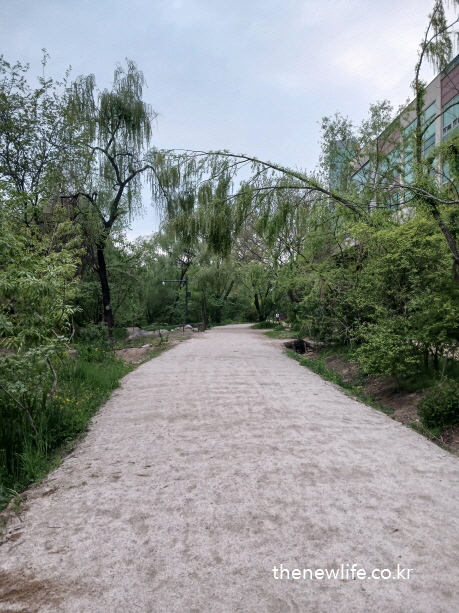 서울 여의도 샛강생태공원 입구에 조성된 곱디고운 모래 흙길, 서울 맨발 걷기 좋은 길의 시작 장소
