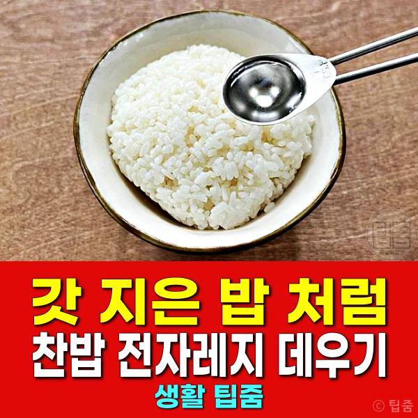 찬밥 식은밥 전자레인지 데우기 시간 갓 지은 밥