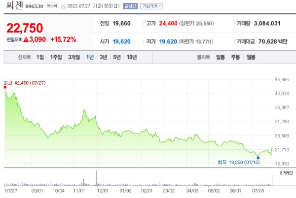 엠폭스 관련주 씨젠 주가 전망