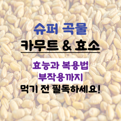 카무트 효소
