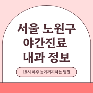 서울 노원구 야간진료 내과 병원 (18시 이후 늦게까지하는 병원)