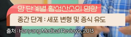 글루타치온 효능