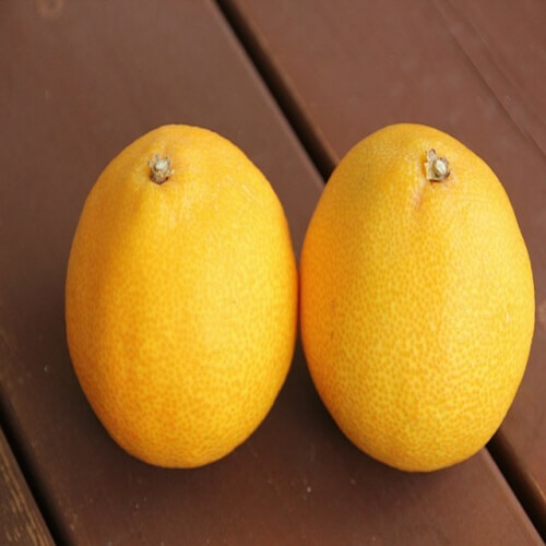 루테인지아잔틴