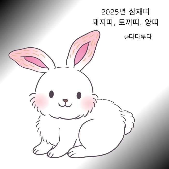 2025년 삼재띠 돼지띠,토끼띠, 양띠 주의사항, 극복방법