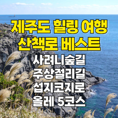제주도 사려니숲길 섭지코지로 주상절리 올레 5코스 산책로 썸네일