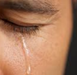 우는 꿈 눈물 꿈