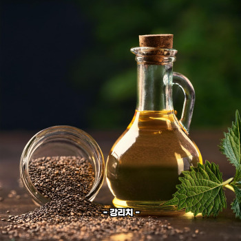 오메가3 많은 음식